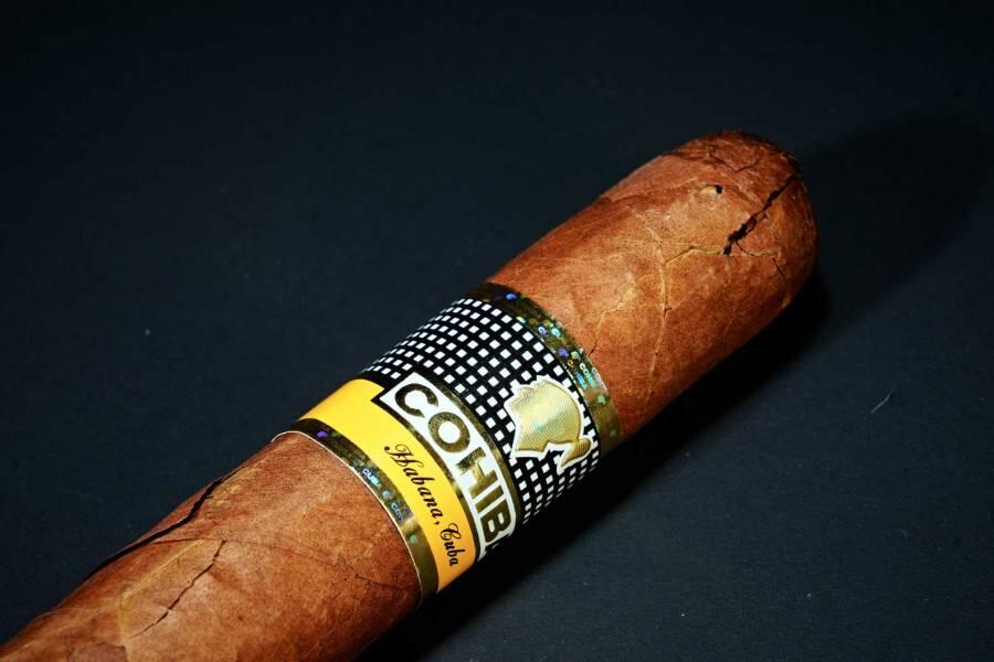 上海都达杂项专场六十八【全场包邮】 高希霸罗布图雪茄一根95-29