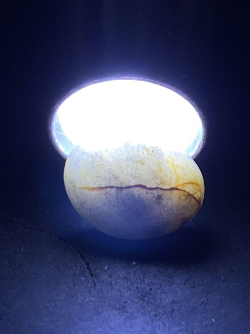 精美和田玉青花小独籽原石一颗，