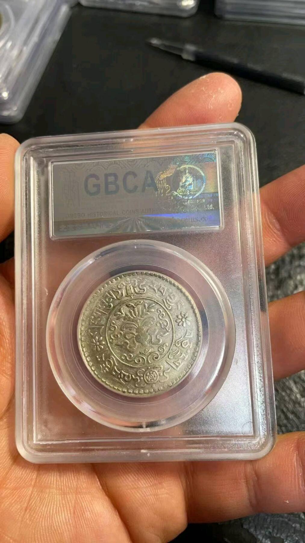 公博62分桑松果木稀少高分