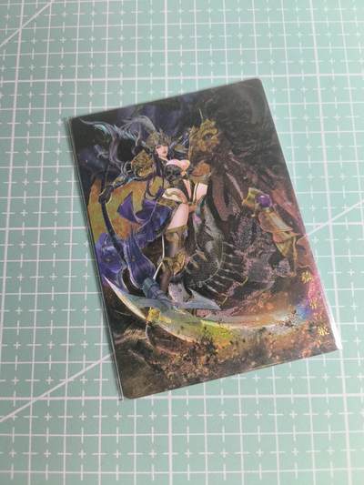 C先生卡牌 第26期 持续收拍品中…零手续费代拍 - 【粗闪】卡玩帕克《魂姬三国》张辽