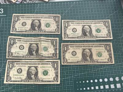 轻松集币无压力 - 1美元/组