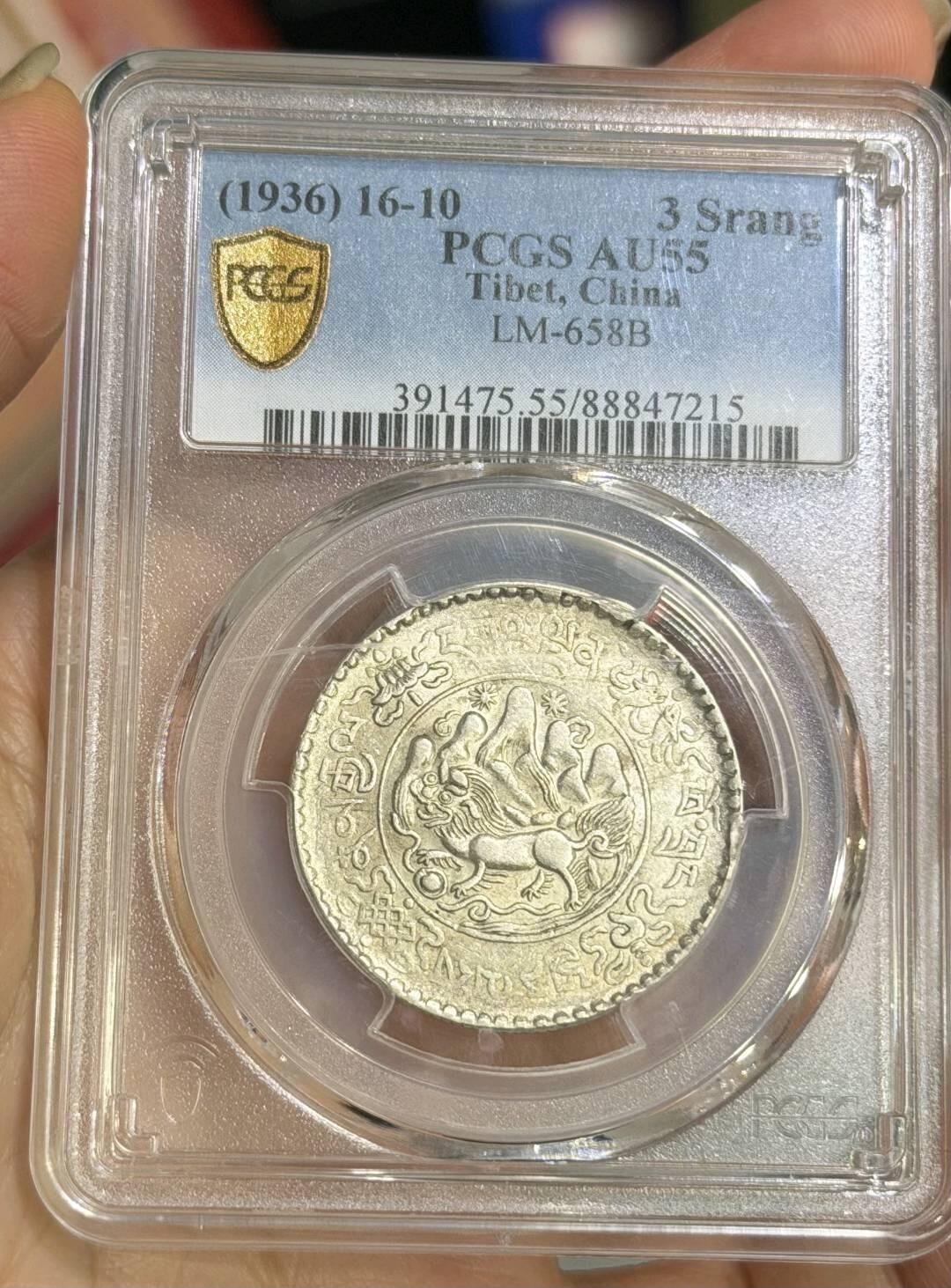 PC55桑松果木三两 大桑松