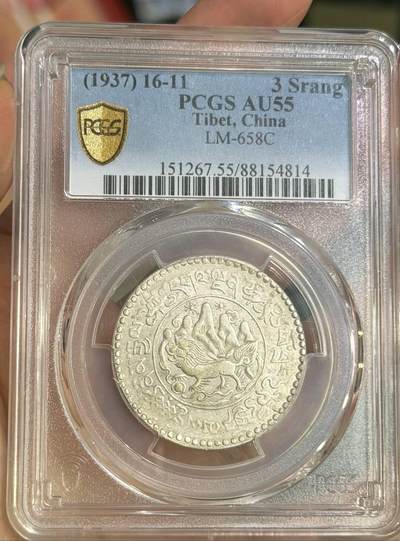 PCms61桑松果木 - PCms61桑松果木