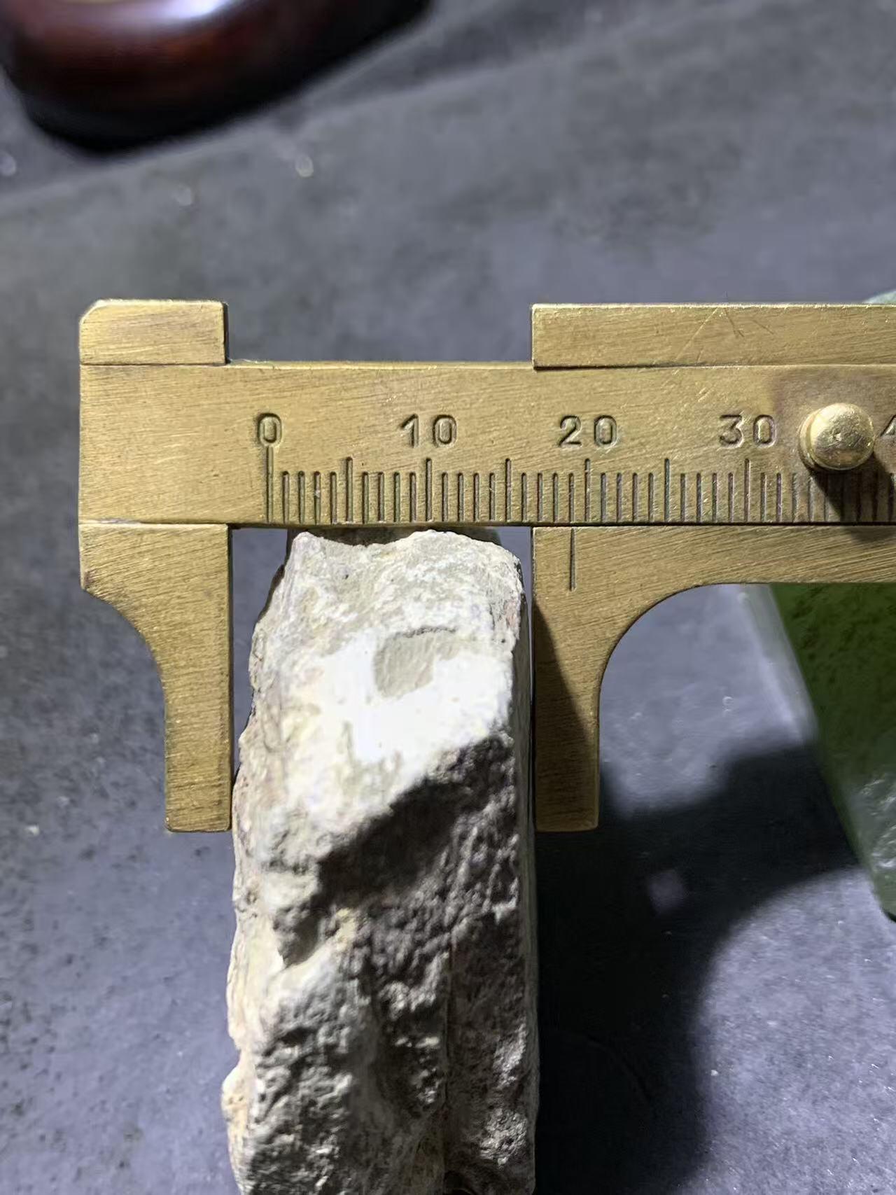 精美天然湘西三叶虫尾巴化石王冠虫张氏虫古生物化石标本原石一颗