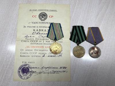 大猫徽章拍卖 第291期 - 苏联战役章 奖章一组 非同一人获得