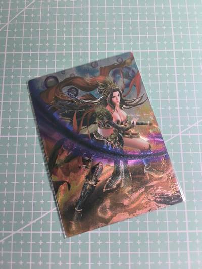 C先生卡牌 第26期 持续收拍品中…零手续费代拍 - 【粗闪】卡玩帕克《魂姬三国》周泰