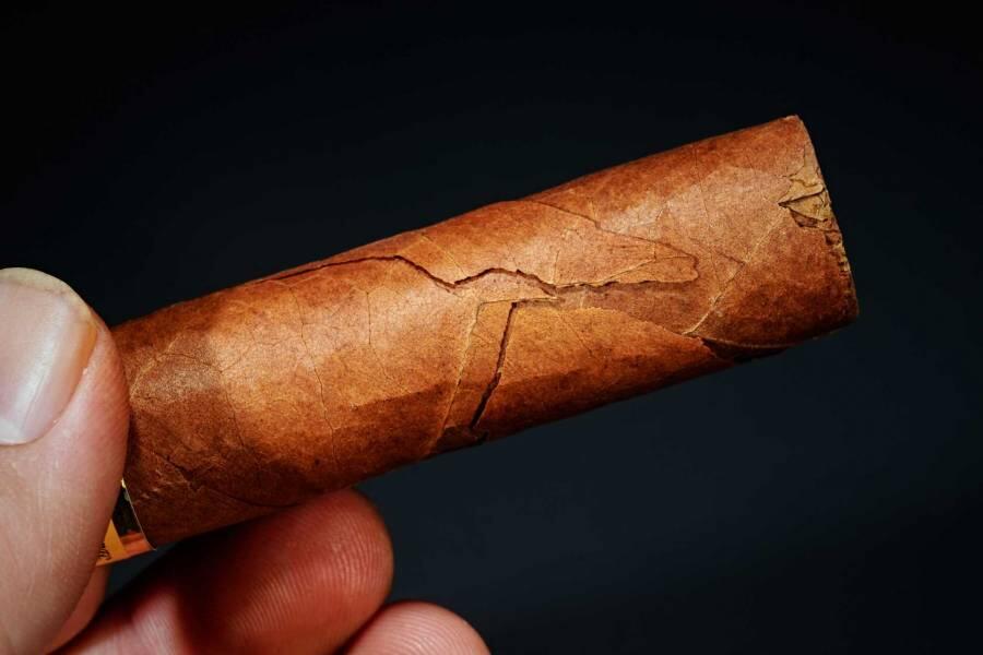 上海都达杂项专场六十八【全场包邮】 高希霸罗布图雪茄一根95-29