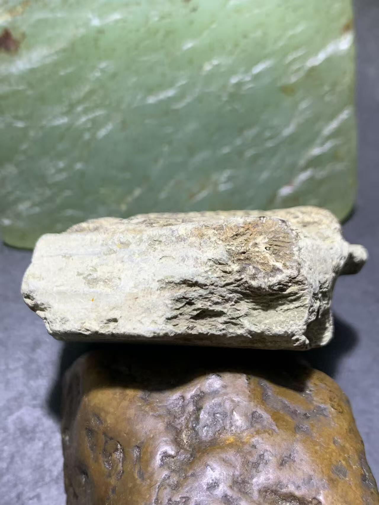 精美天然湘西三叶虫尾巴化石王冠虫张氏虫古生物化石标本原石一颗