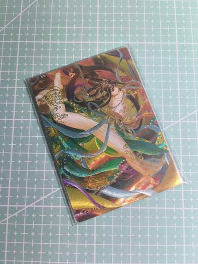 C先生卡牌 第26期 持续收拍品中…零手续费代拍 - 【粗闪】卡玩帕克《异界水浒神姬》险道神·郁保四  双服饰