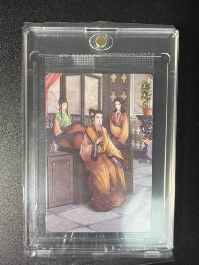 NO.29 好又多金牌大场，每周一站式配齐，方便凑单！（卖家送拍0抽成！周6晚9点截拍！） - 小浣熊 红楼梦 缘梦录 靓号 王夫人11111号