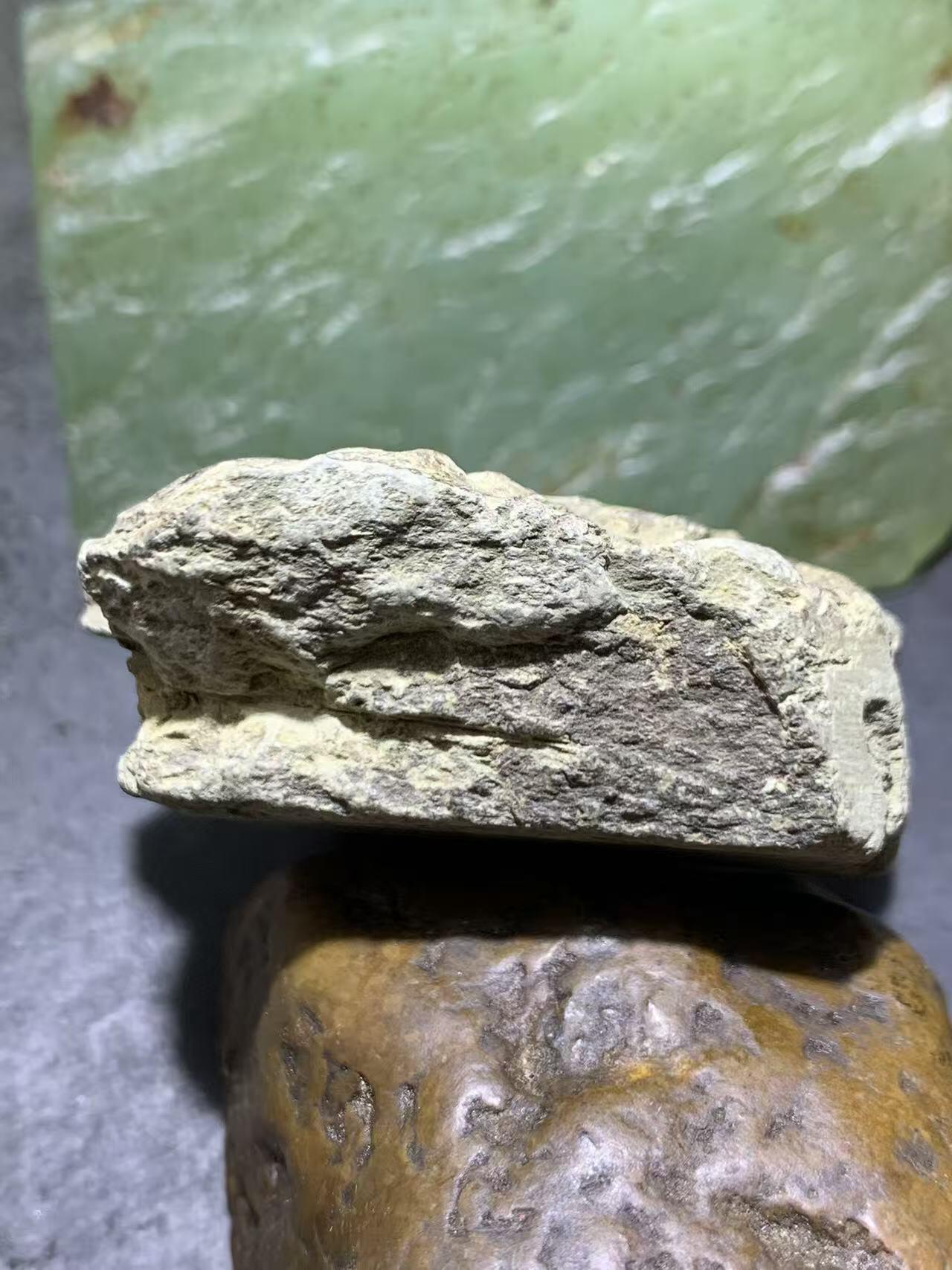 精美天然湘西三叶虫尾巴化石王冠虫张氏虫古生物化石标本原石一颗