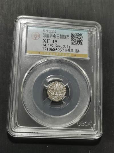 天下钱庄专场欢迎参拍 - 萨希王朝银币