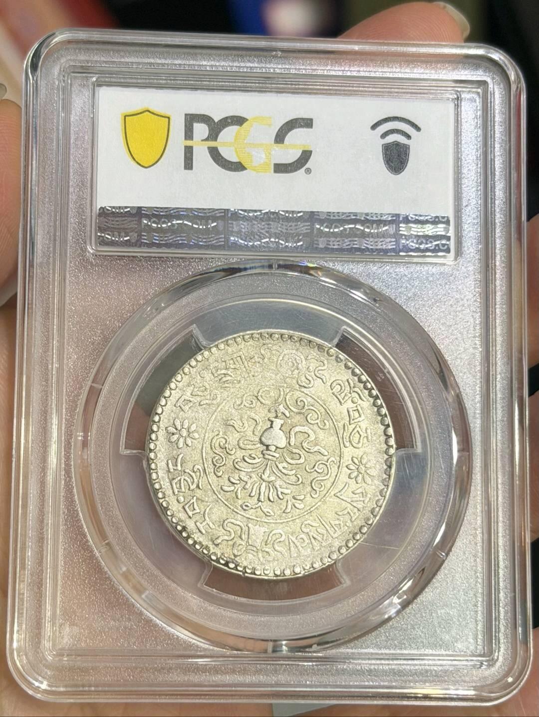 PC55桑松果木三两 大桑松