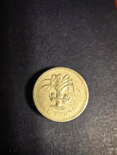 泡泡堂微拍2026.4.5第3场 - 英镑。