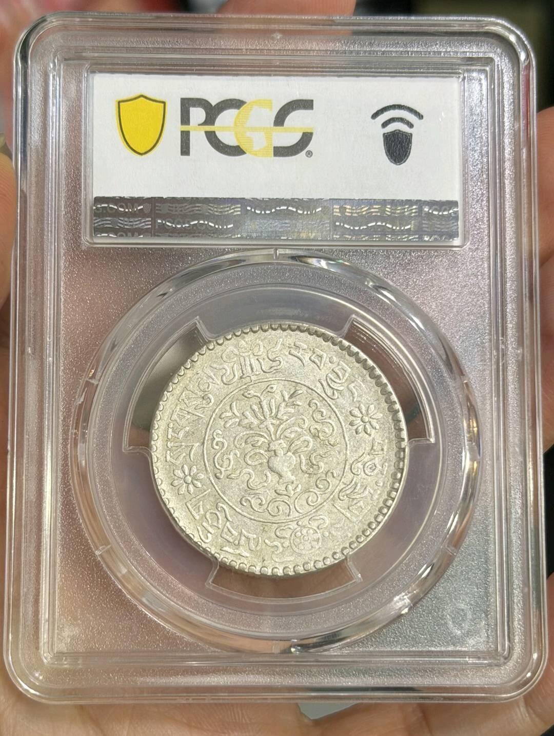 PC55桑松果木三两 大桑松