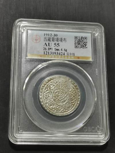 天下钱庄专场欢迎参拍 - 西藏章噶银币