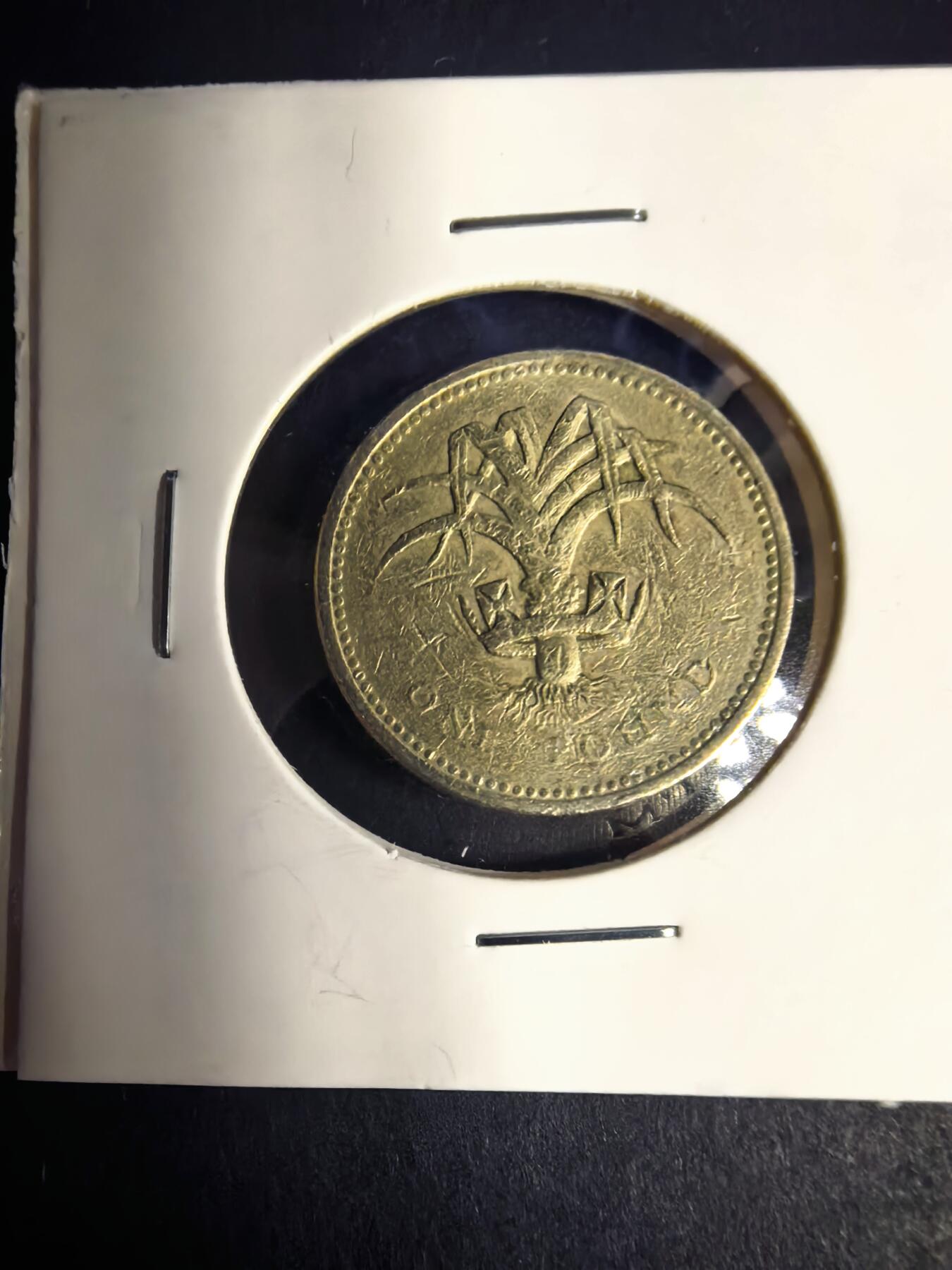 泡泡堂微拍2026.4.5第3场 英镑。