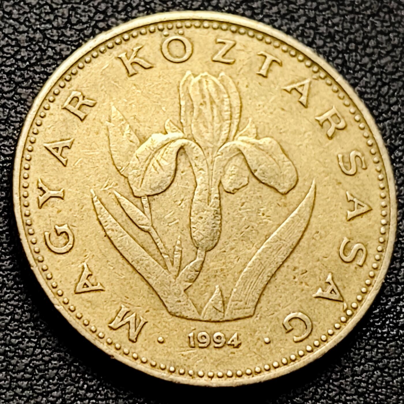 泉币菌-第221场-拍品多 请提前出价