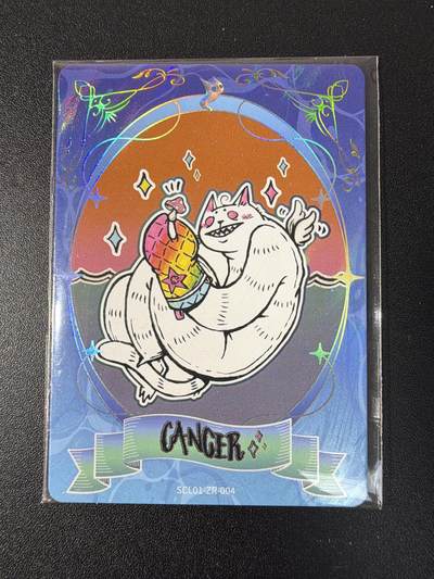 NO.29 好又多金牌大场，每周一站式配齐，方便凑单！（卖家送拍0抽成！周6晚9点截拍！） - 【4/7编】卡游 strang cat