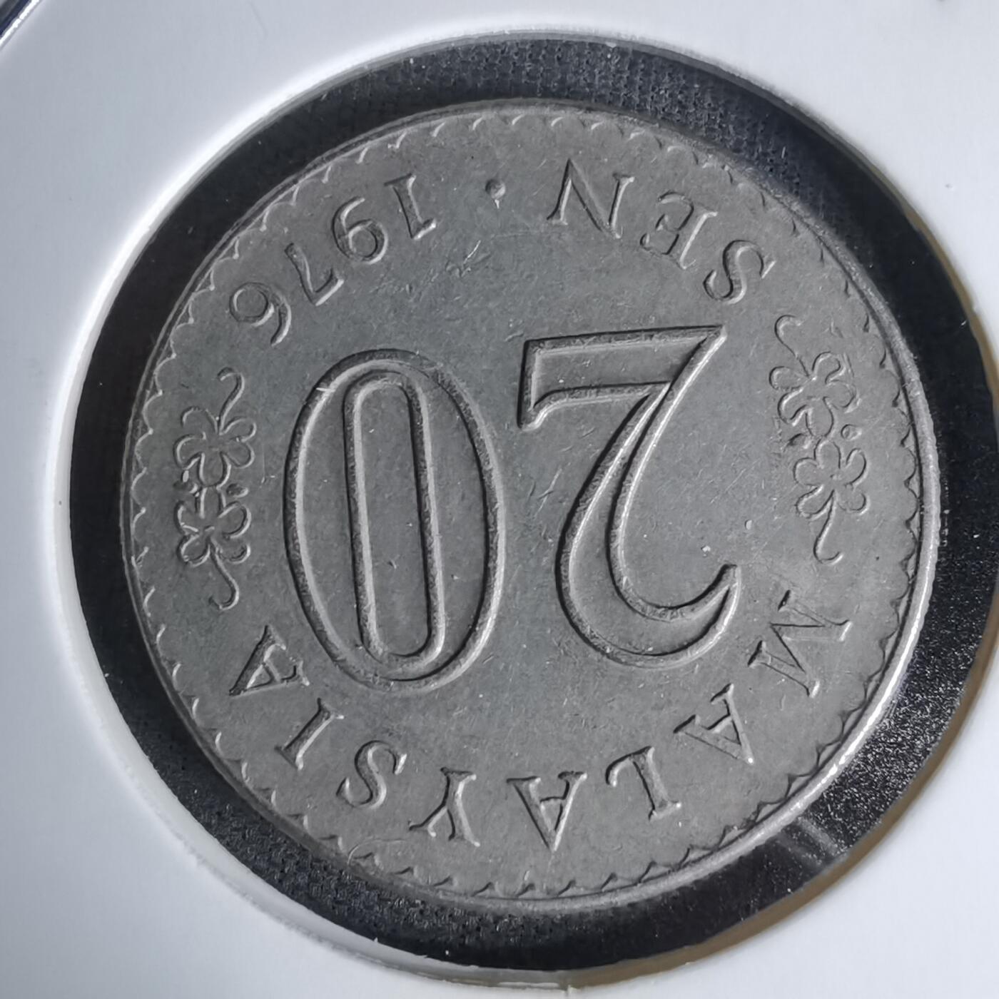 沼泽如烟--第1045场