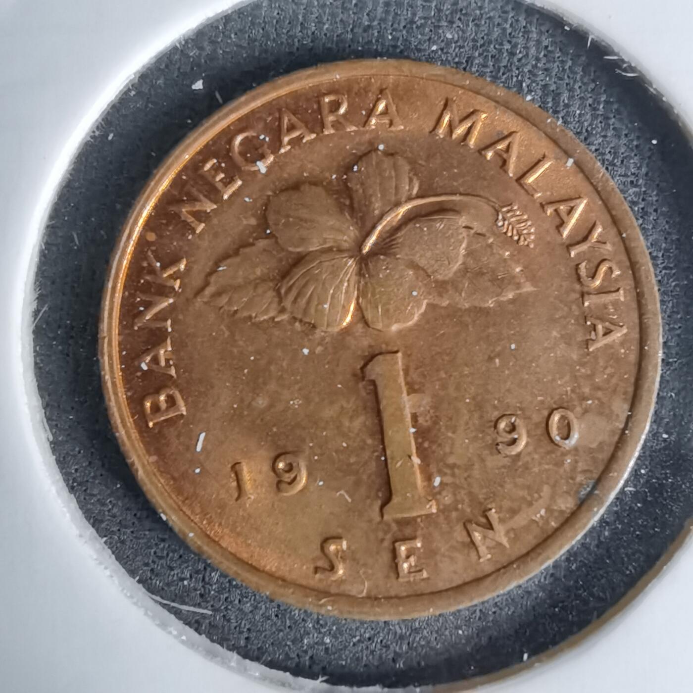 沼泽如烟--第1045场