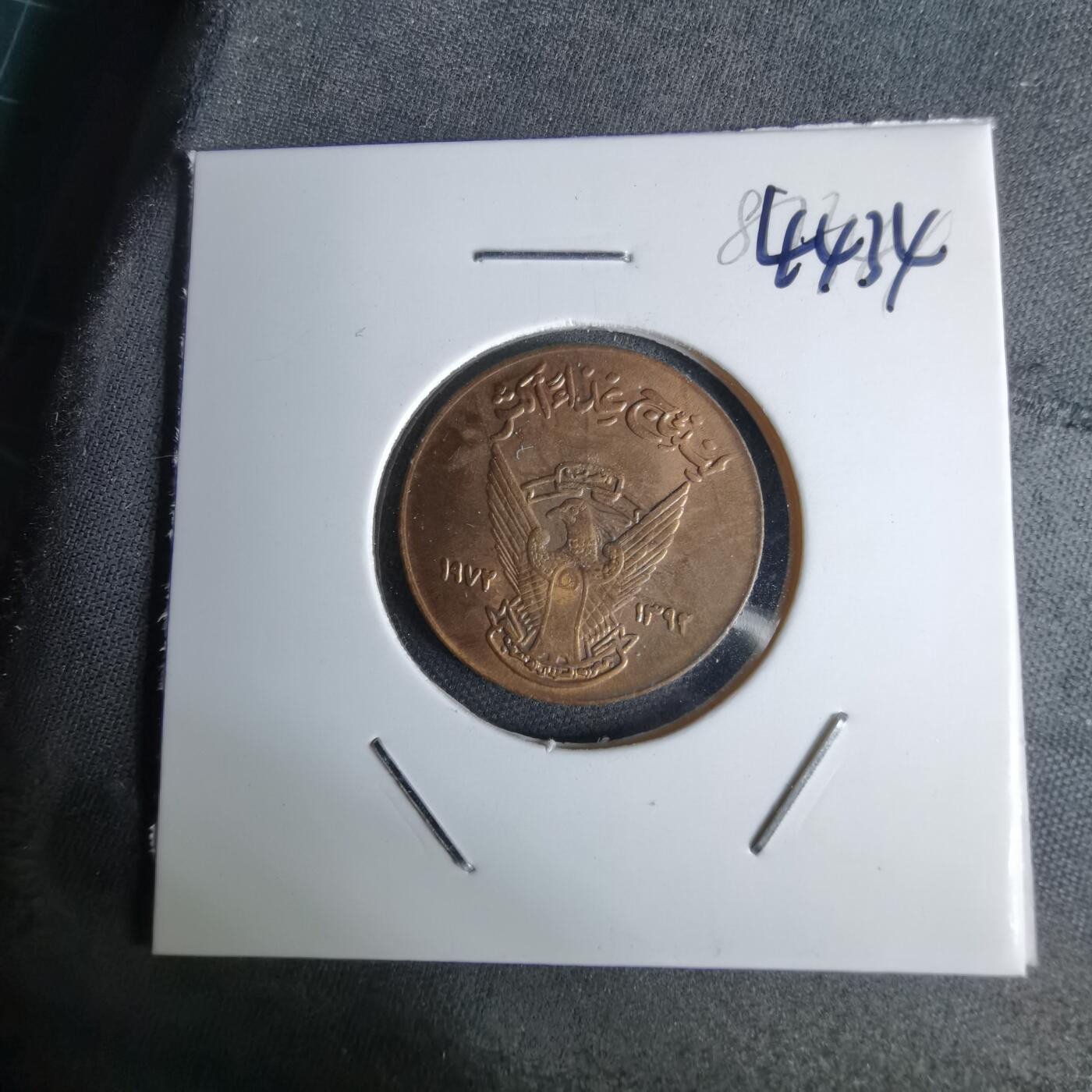 沼泽如烟--第1044场