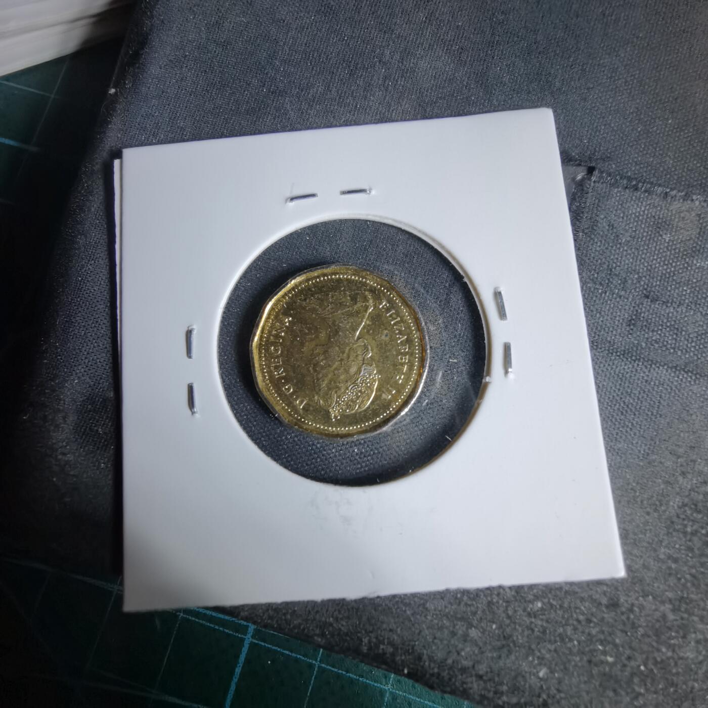 沼泽如烟--第1044场