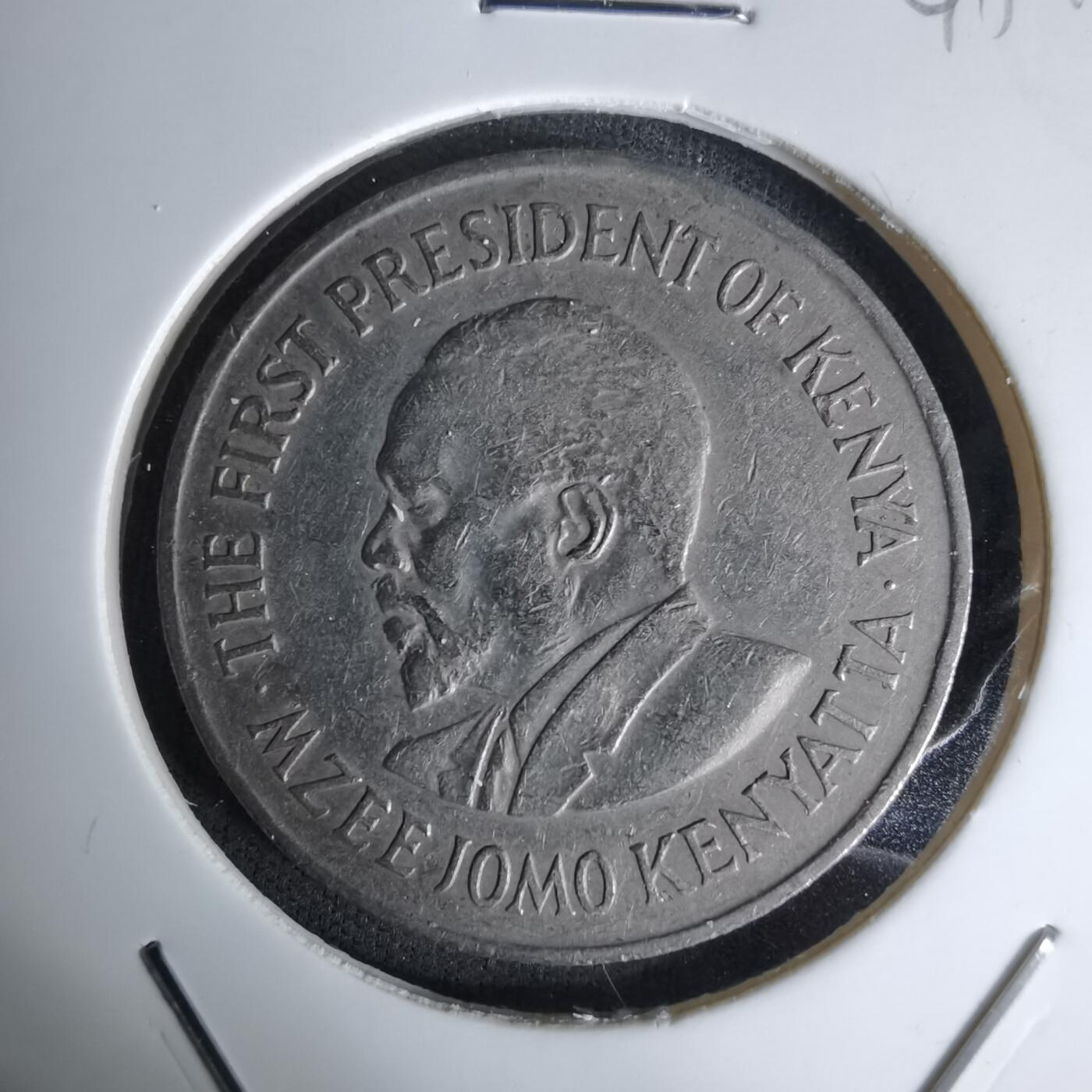 沼泽如烟--第1045场