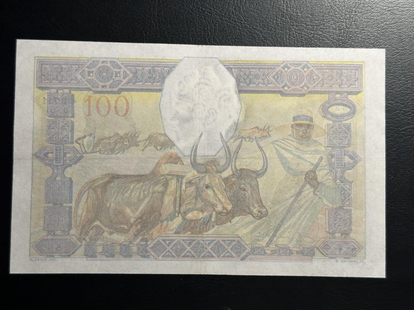 丙午马年四月第二场 。本期更新各类稀有品种