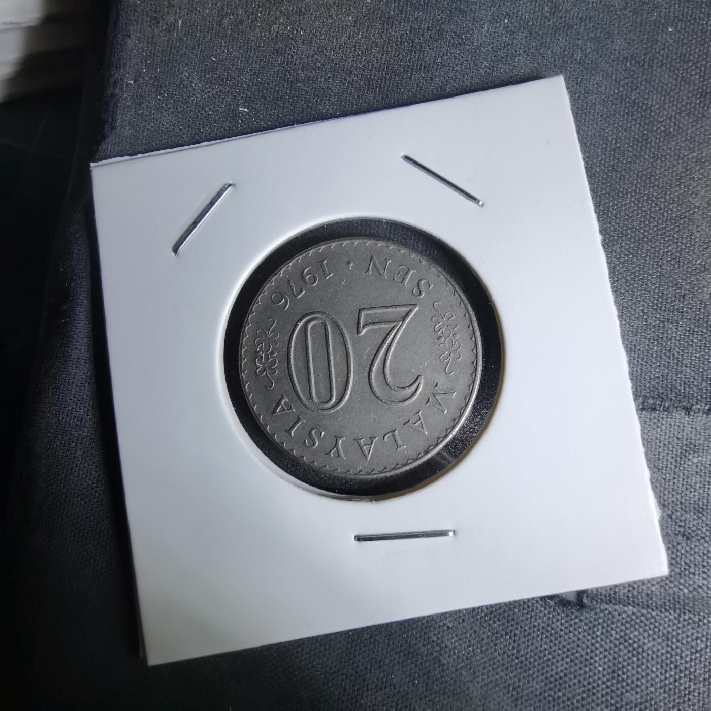 沼泽如烟--第1045场