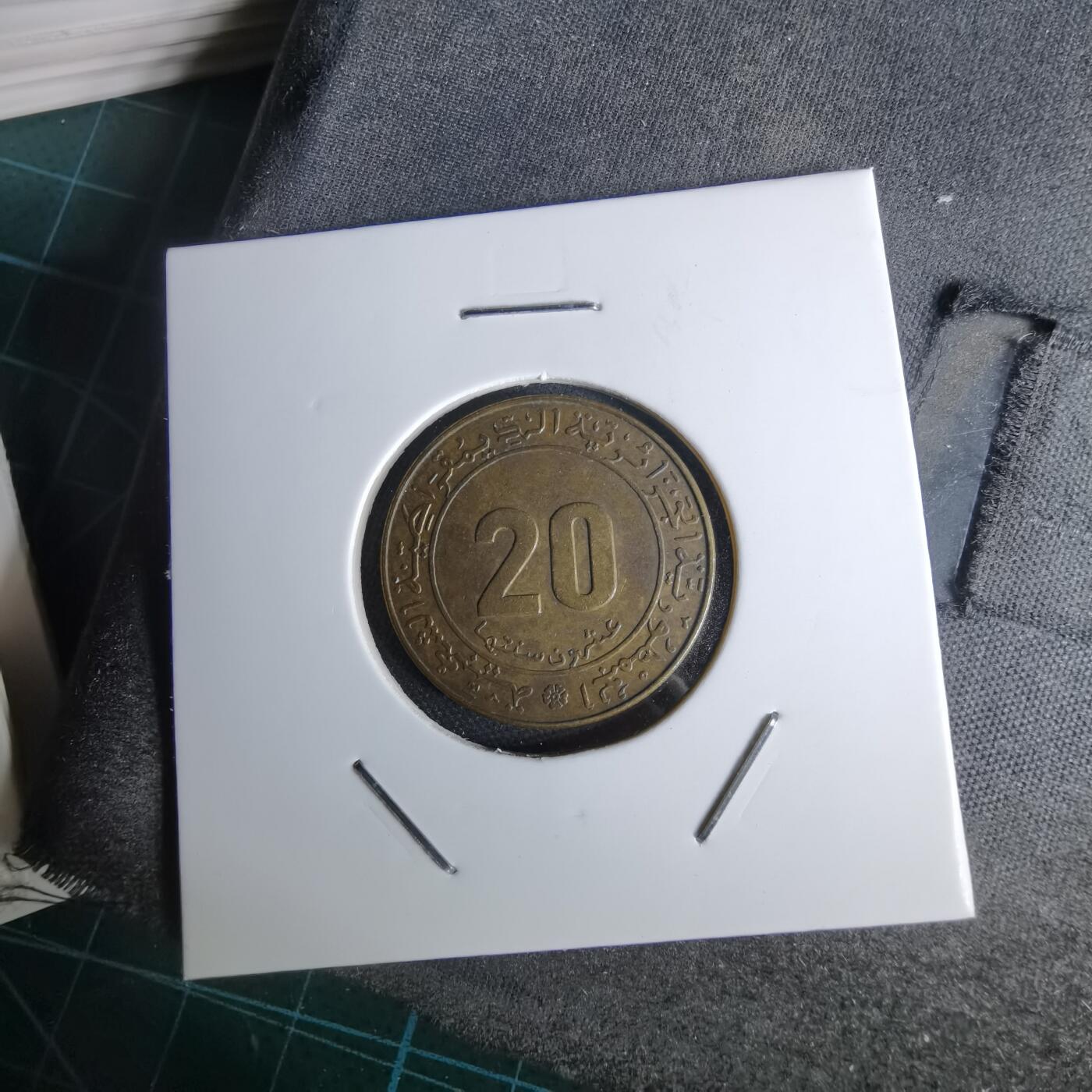 沼泽如烟--第1044场