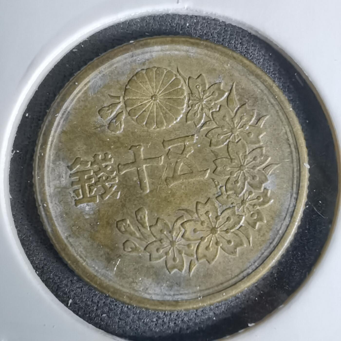 沼泽如烟--第1045场