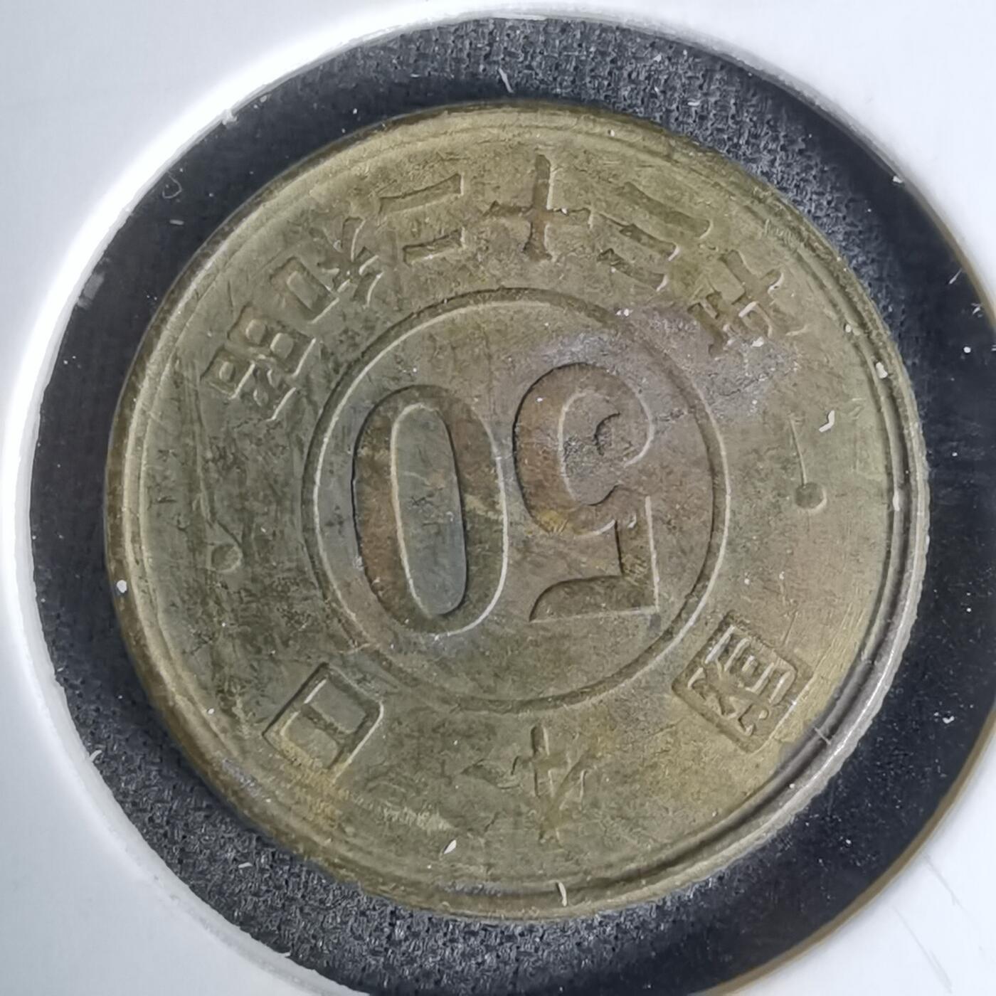 沼泽如烟--第1045场