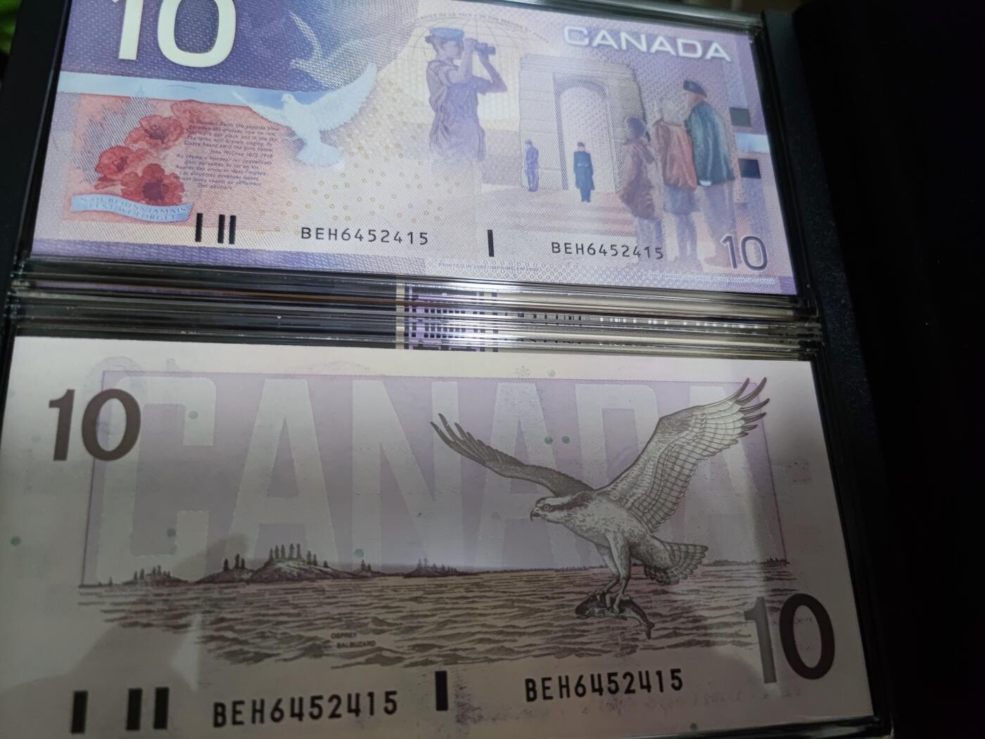 长老汇马年精选第十六场拍卖