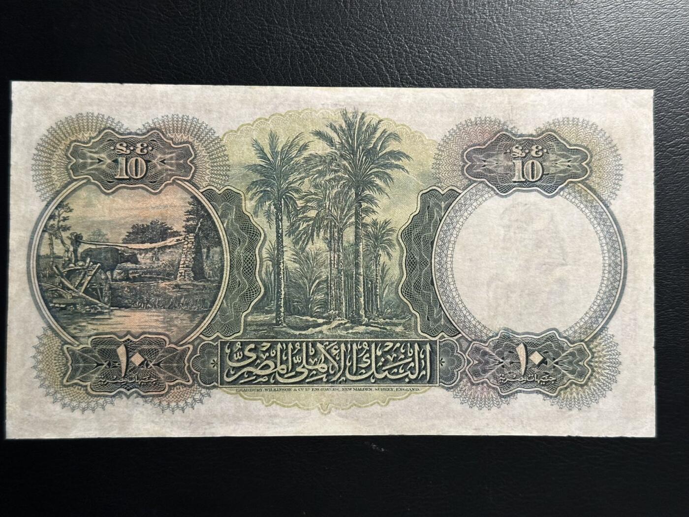 丙午马年四月第二场 。本期更新各类稀有品种