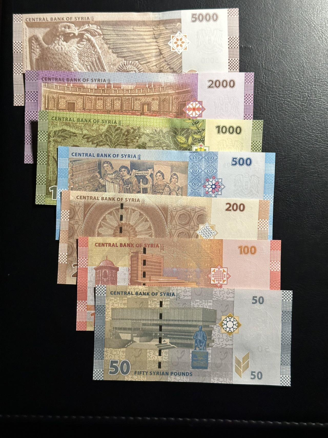 丙午马年四月第二场 。本期更新各类稀有品种