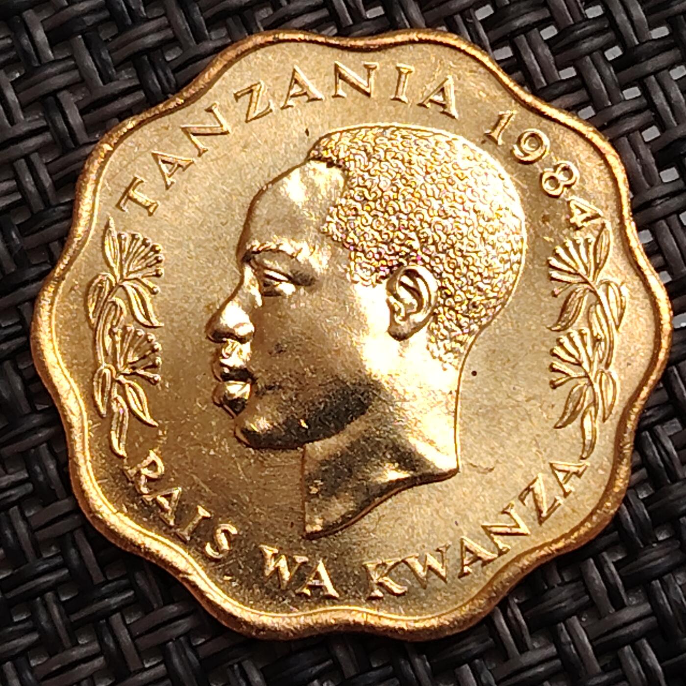 布加迪🐬～世界钱币(上海)🌾第 288 期 /  各国套币和散币 坦桑尼亚🇹🇿 斑马 1984年 10分黄铜币 异形25mm
