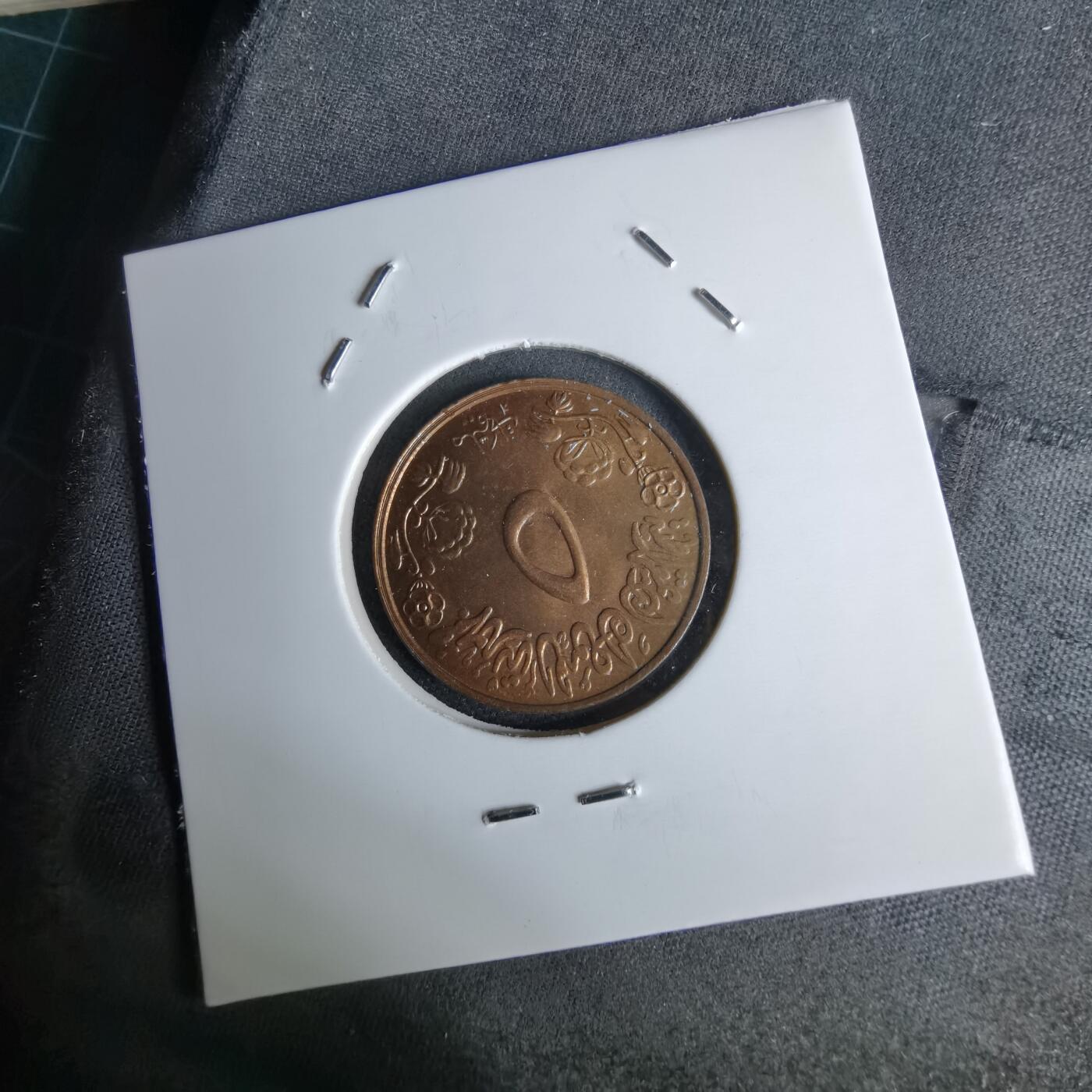 沼泽如烟--第1044场