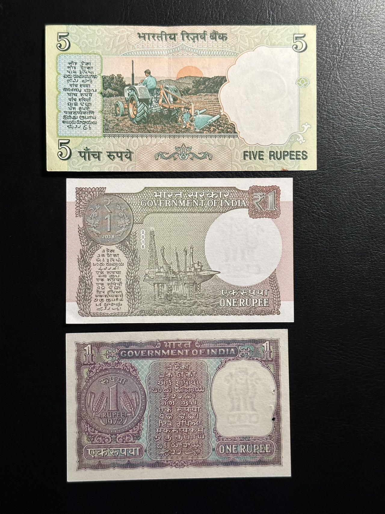 丙午马年四月第二场 。本期更新各类稀有品种