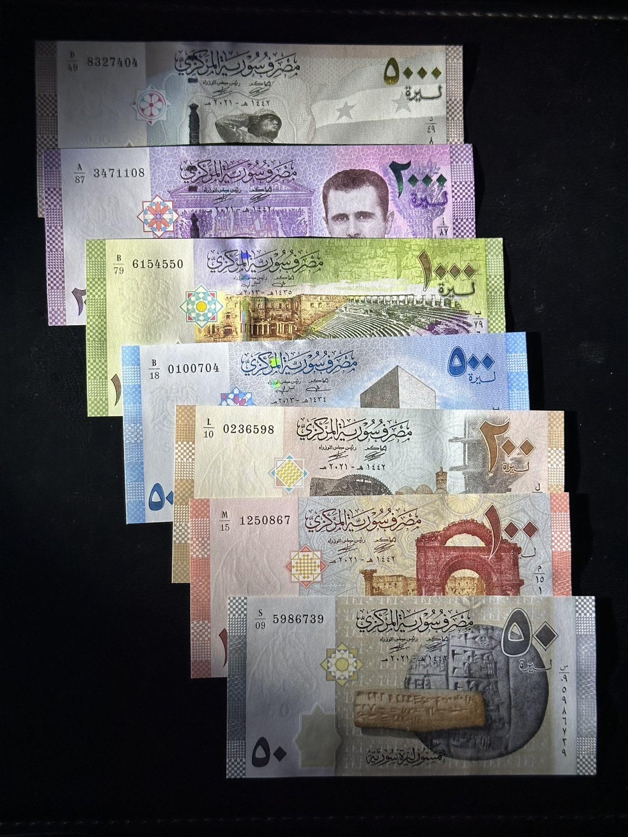 丙午马年四月第二场 。本期更新各类稀有品种