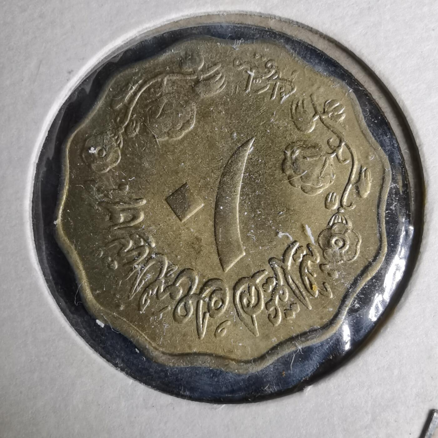 沼泽如烟--第1044场