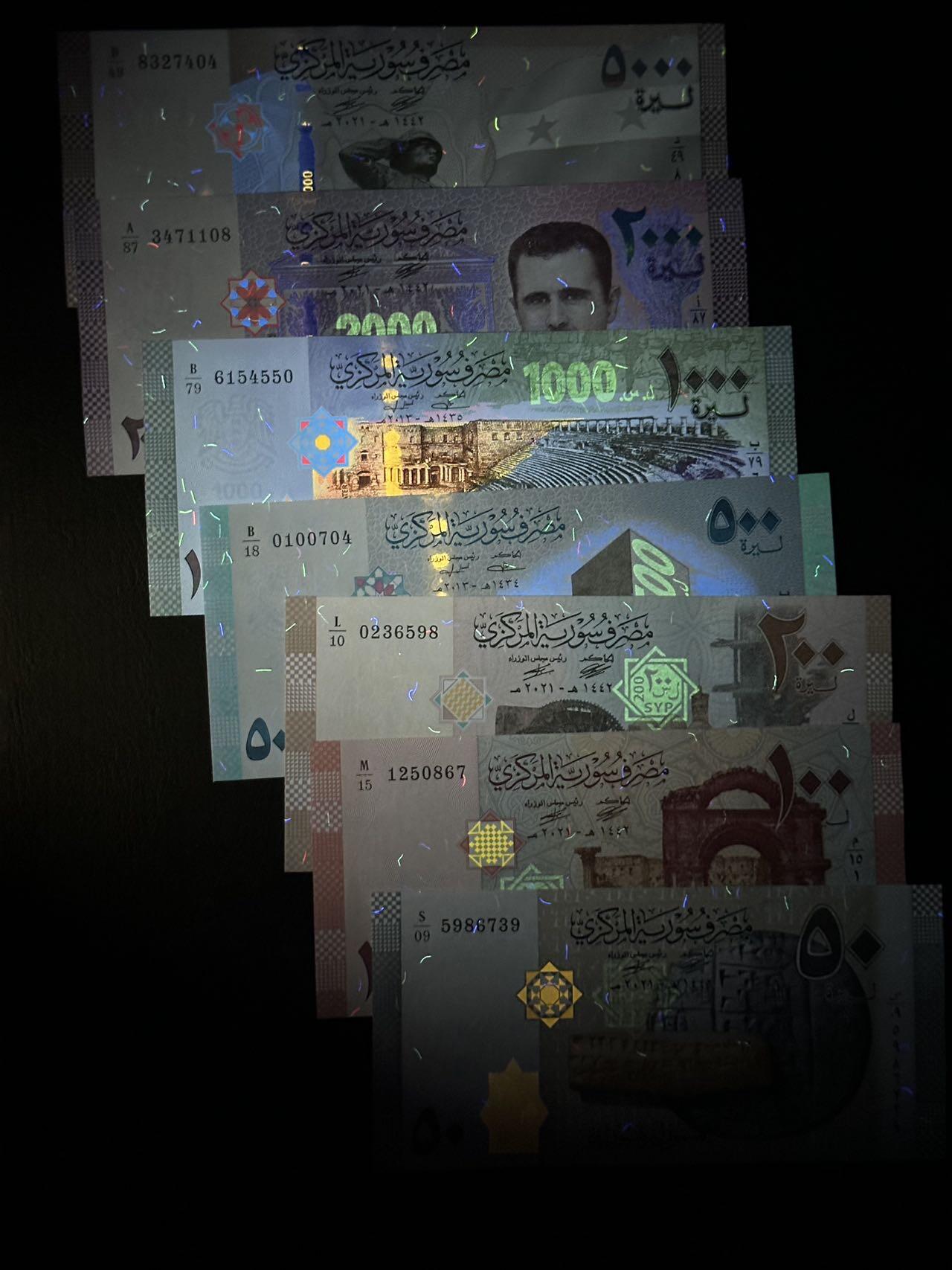 丙午马年四月第二场 。本期更新各类稀有品种