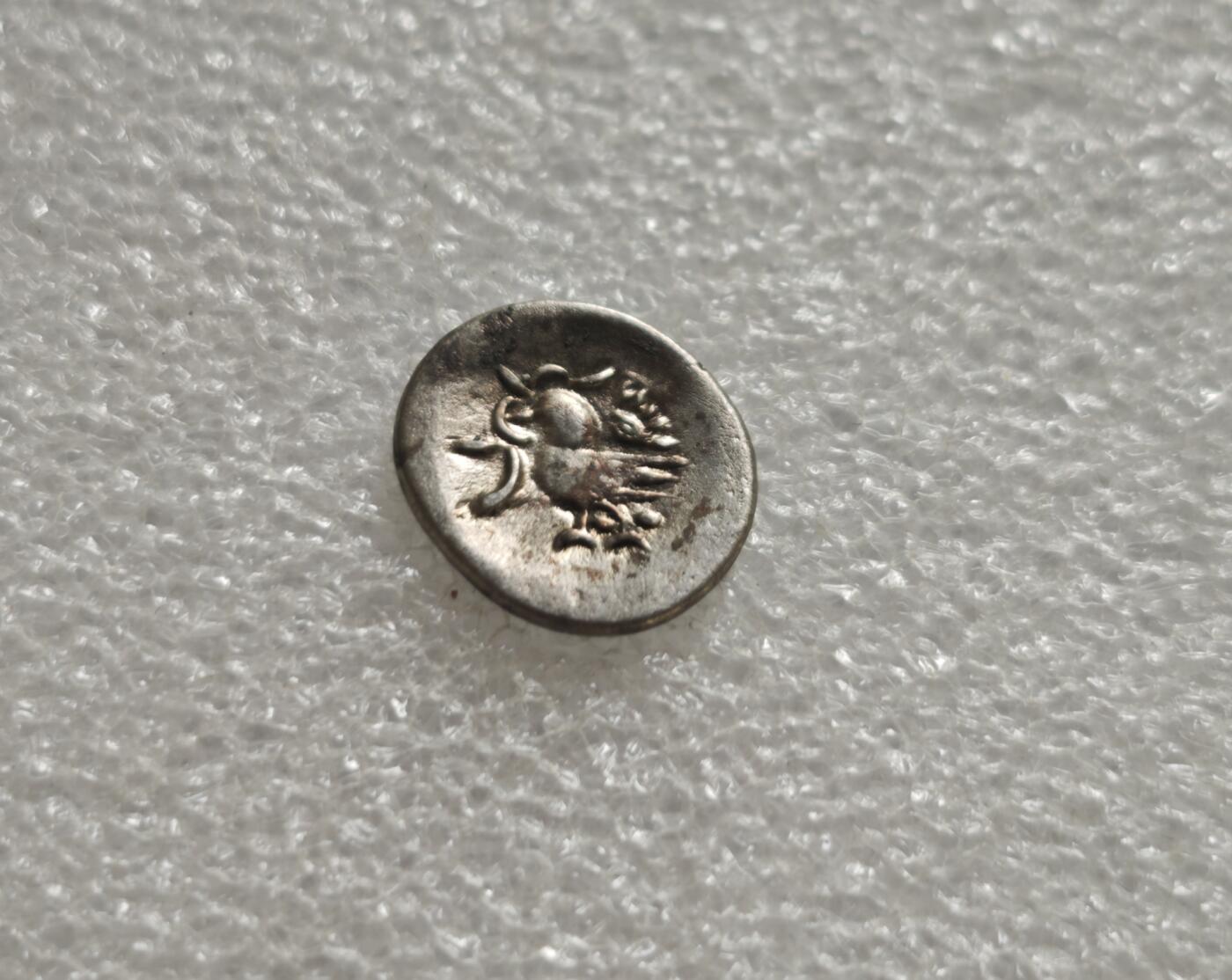 瓶子🏺第236期拍卖会  19世纪中叶柬埔寨诺罗敦一世时期的手工打制银币，俗称“红鸟币”或“鸡仔钱”，是海上丝绸之路中柬贸易的重要实物见证 一只跨步小鸟（神鸟/红鸟），嘴部叼啄藤蔓或小虫，姿态拙朴生动，是高棉民族图腾“恩杜”的象征，也源自印度神话中的哈姆萨神鸟