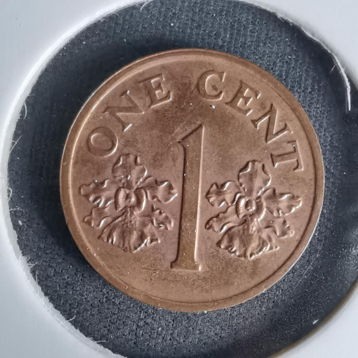 沼泽如烟--第1045场