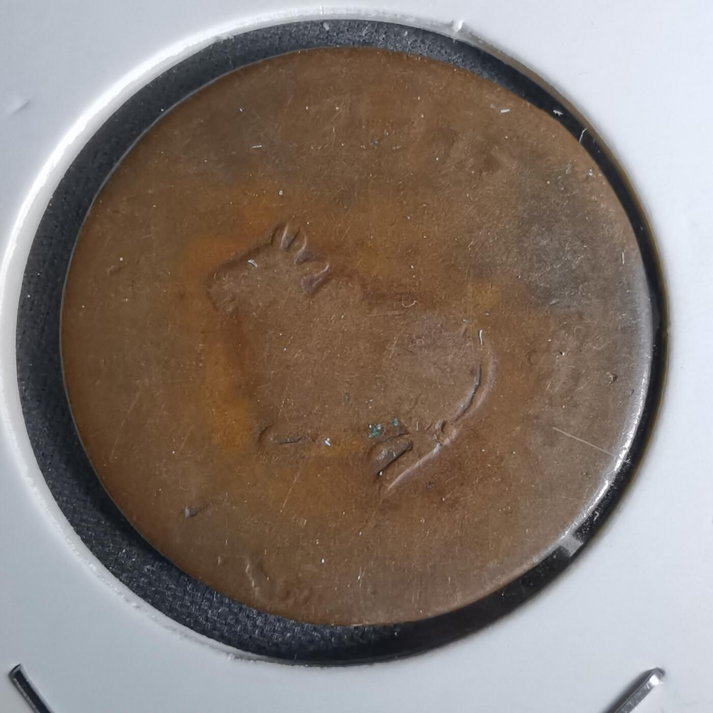 沼泽如烟--第1044场 老铜币一枚