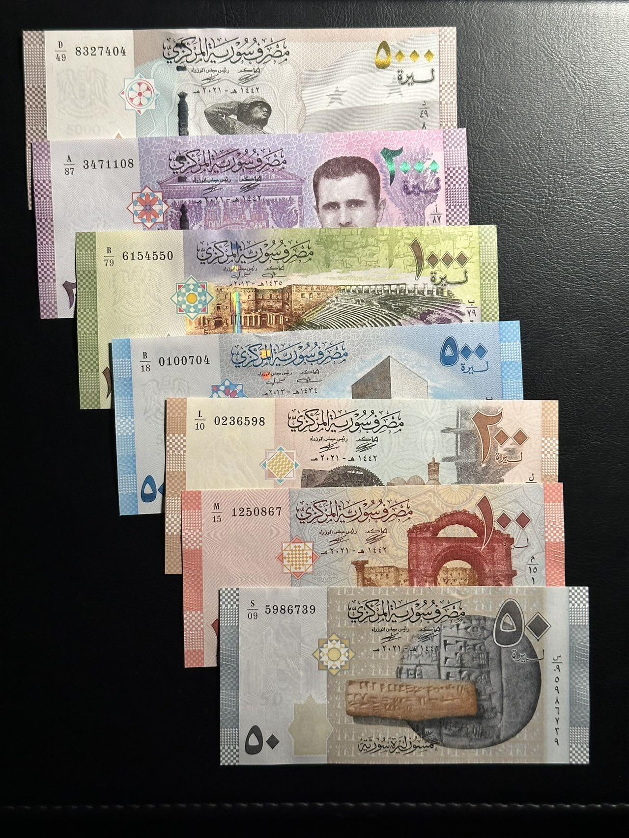 丙午马年四月第二场 。本期更新各类稀有品种