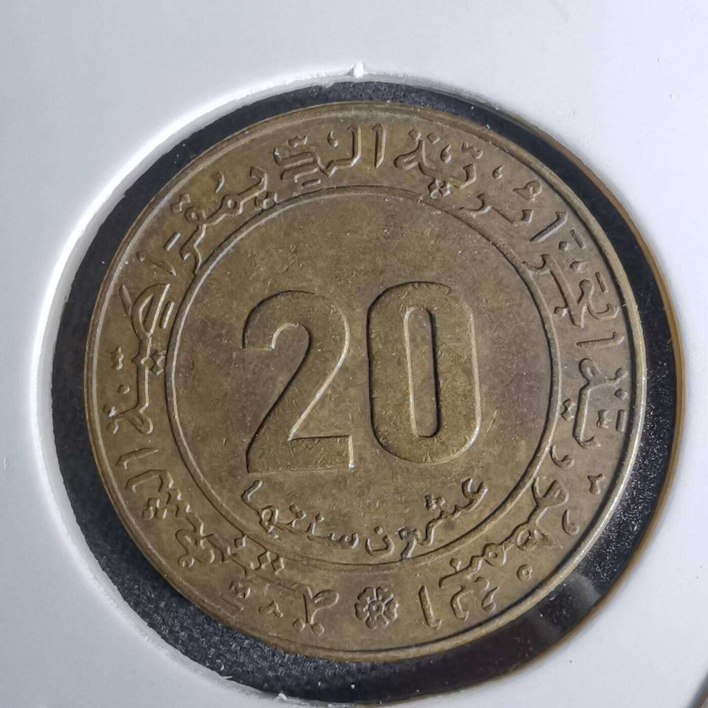 沼泽如烟--第1044场