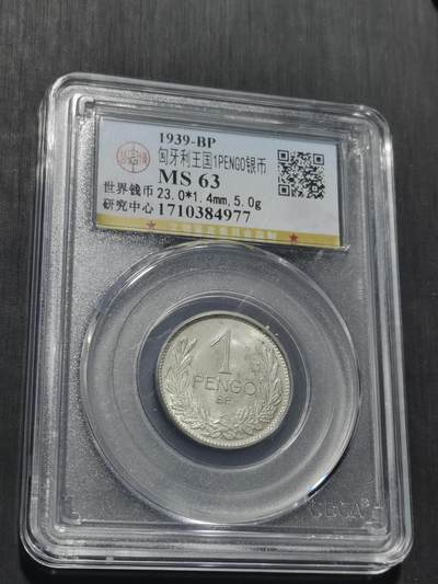 天下钱庄专场欢迎参拍 - 匈牙利1潘果银币