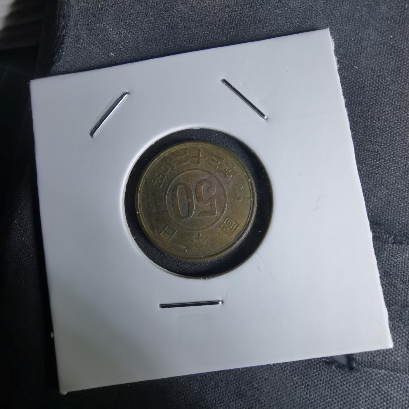 沼泽如烟--第1045场