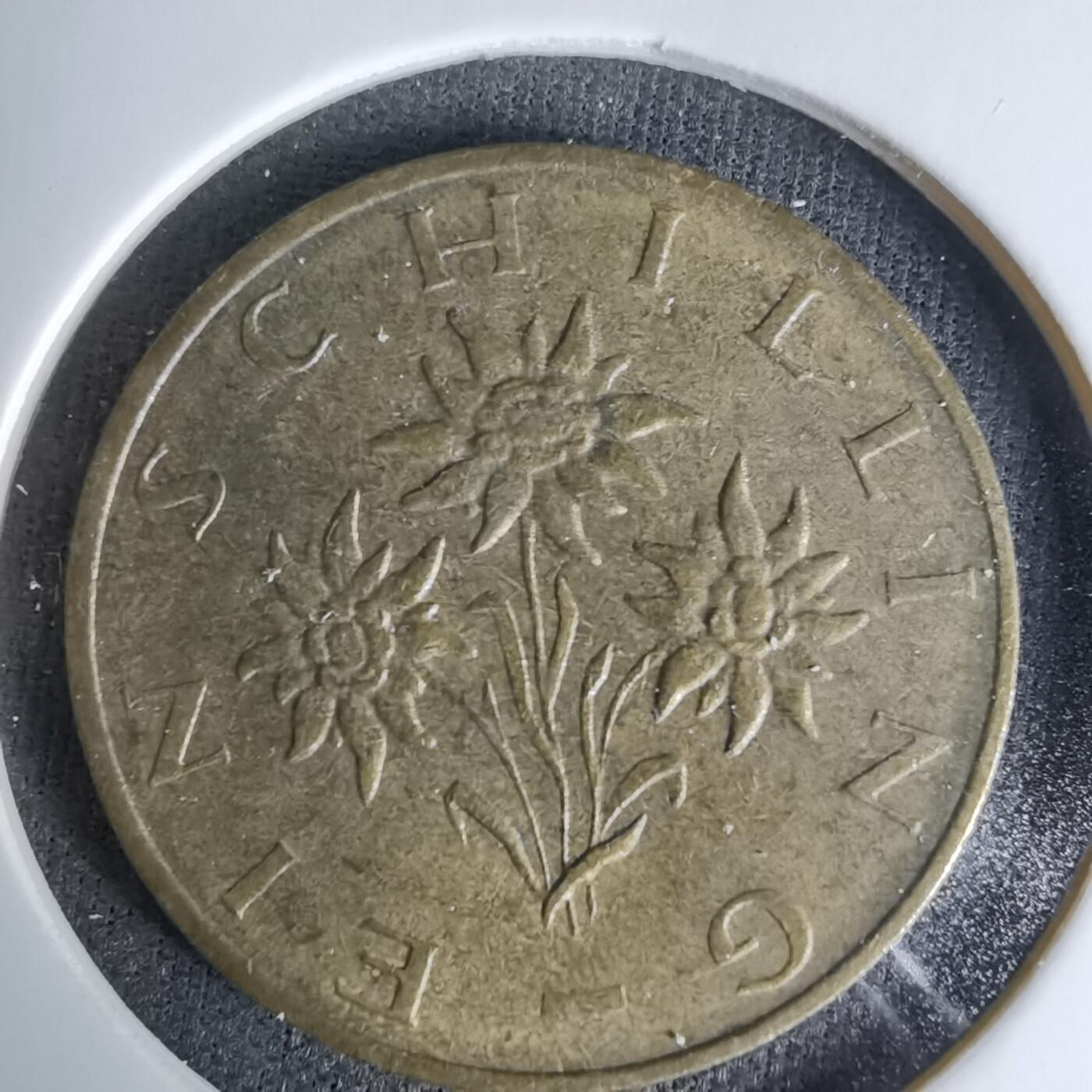 沼泽如烟--第1045场